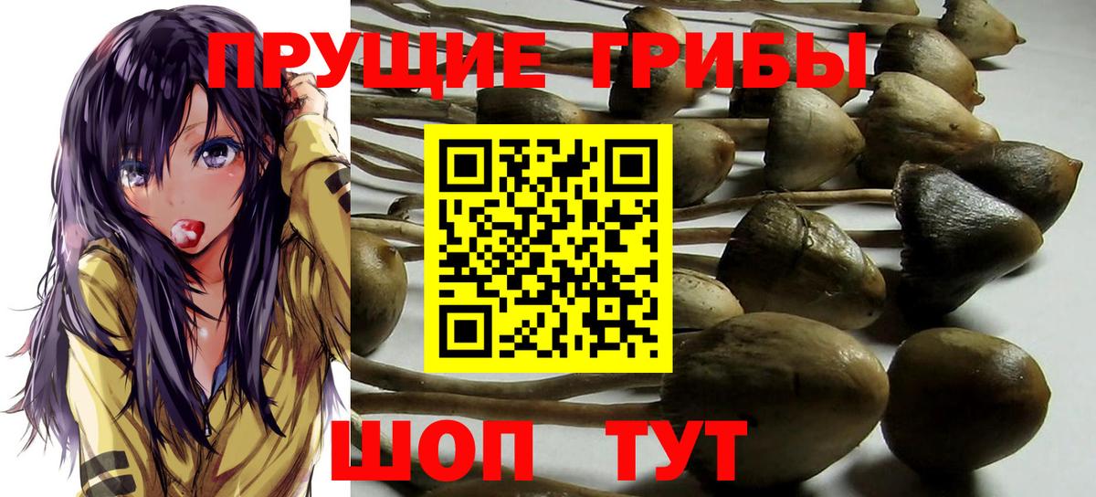 ГАШ  Бахчисарай  ЭКСТАЗИ  Мефедрон кристаллы  Бошки Шишки  Вход с VPN 