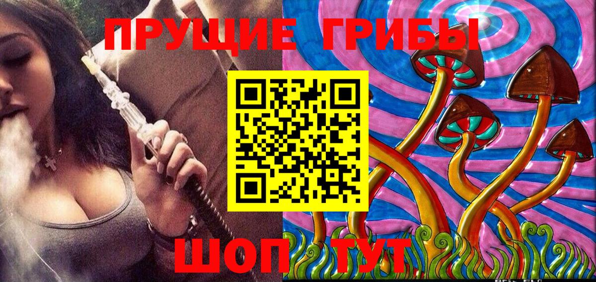 Псилоцибиновые грибы Cubensis Бахчисарай