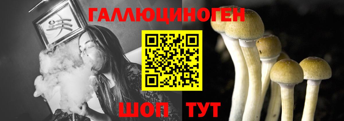 Бахчисарай  Галлюциногенные грибы мицелий  Вход с VPN 